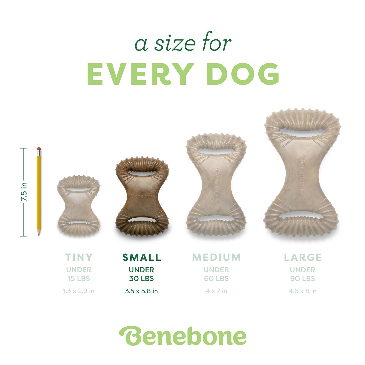 Dental Chew