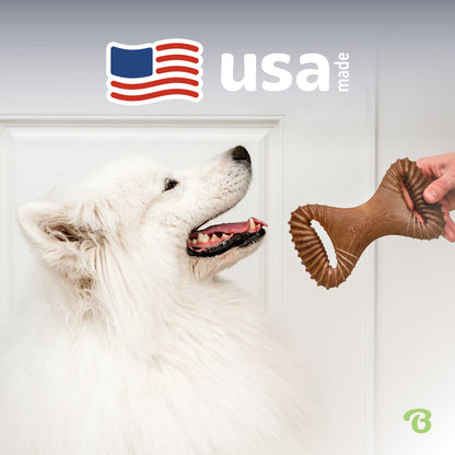 Dental Chew