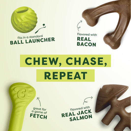 Chew & Chase Collection (4-Pack)