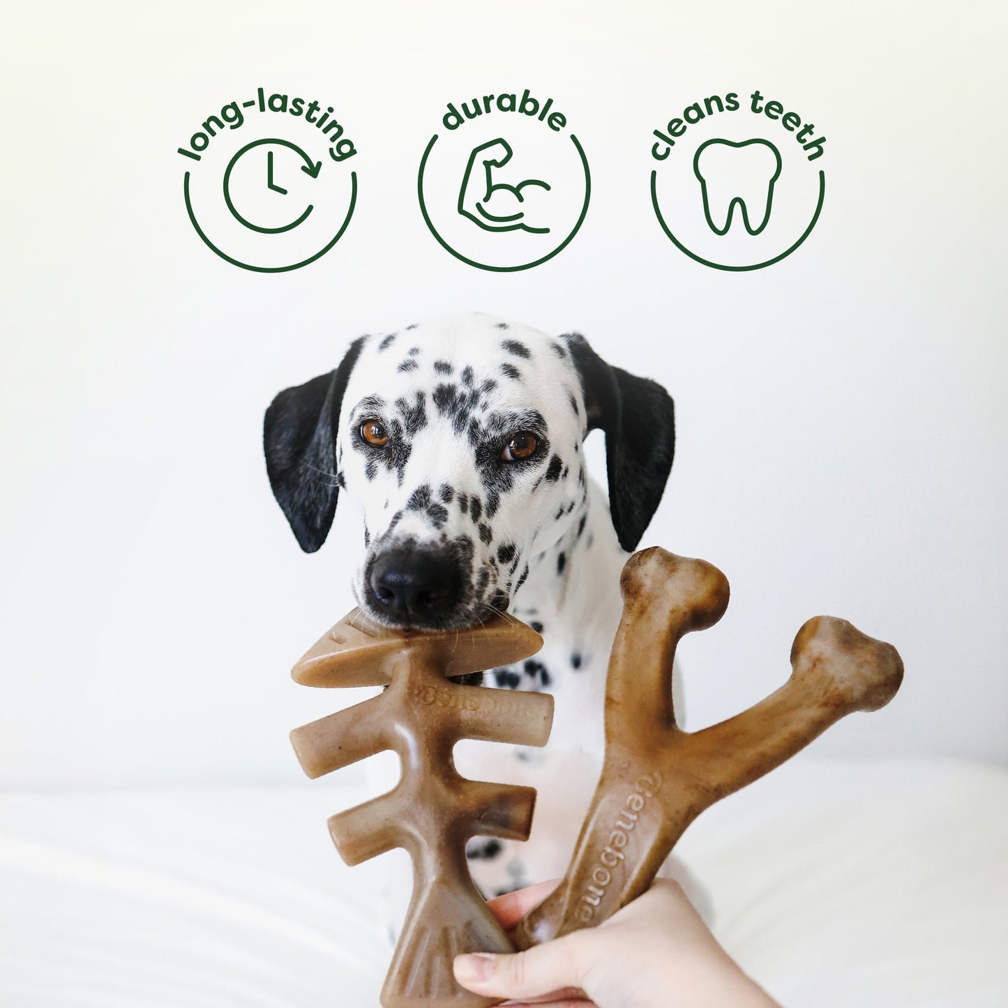 Chew & Chase Collection (4-Pack)