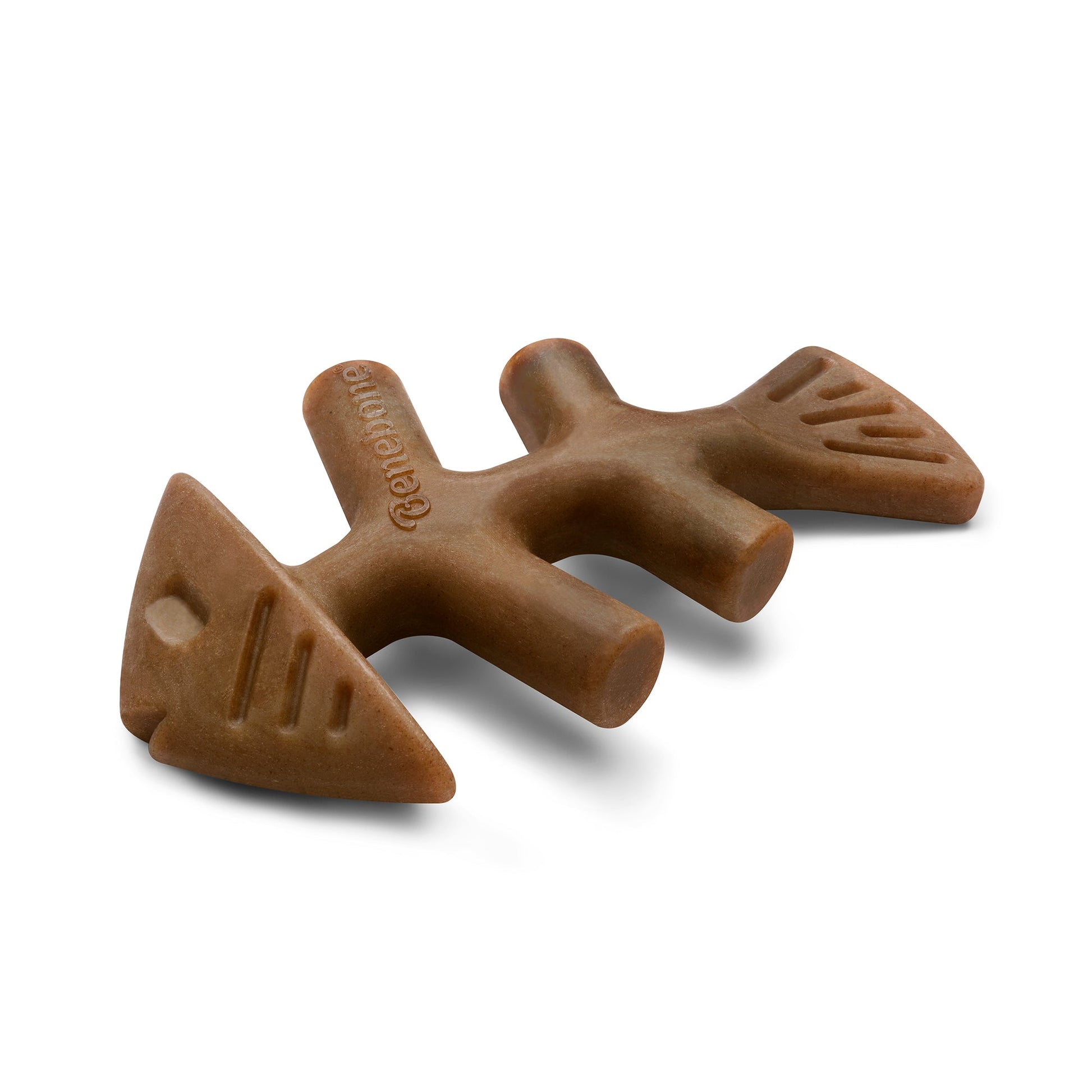 Fishbone