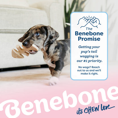 Puppy Fishbone