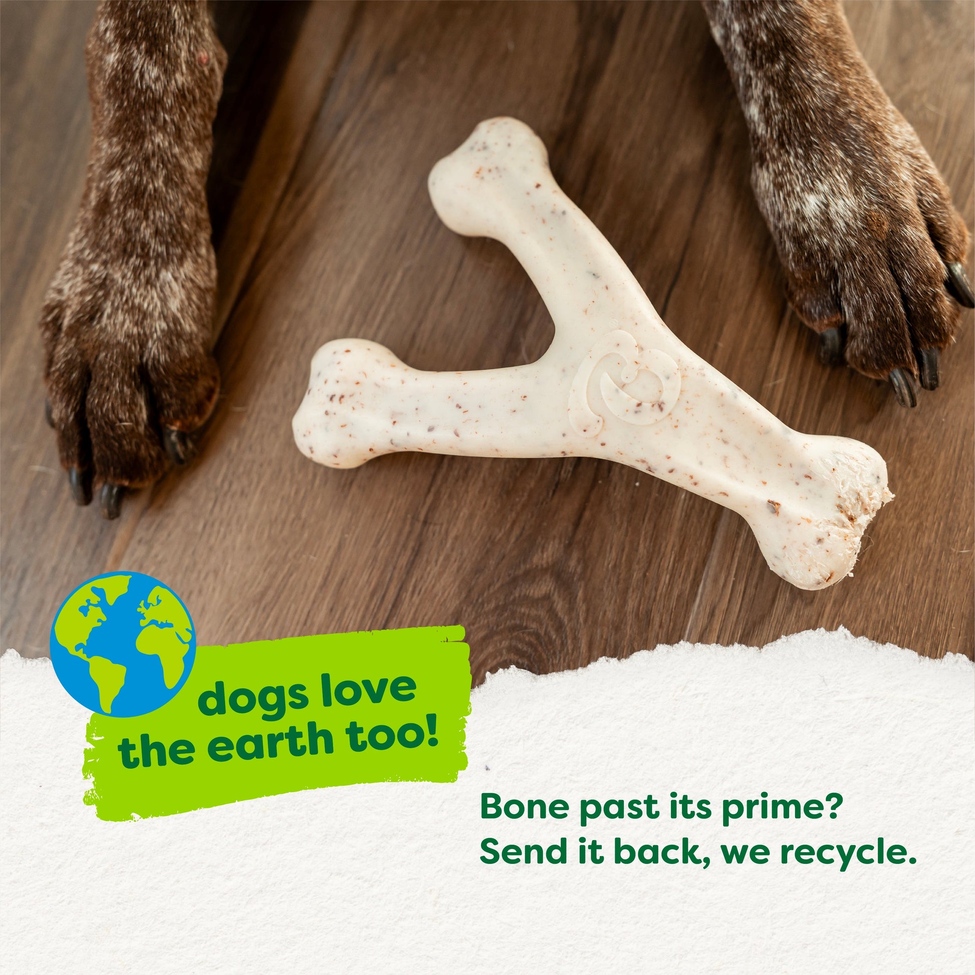 Green Wishbone