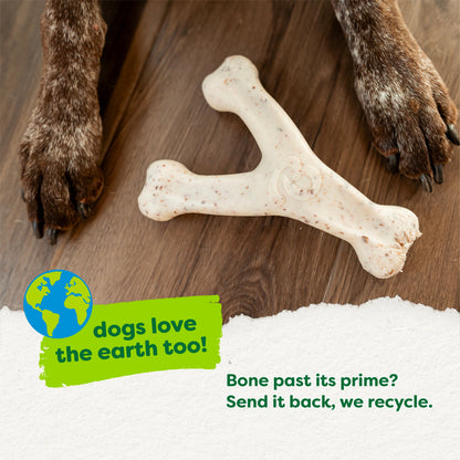Green Wishbone