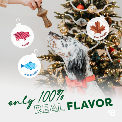 Classic Chew Collection (50% off)