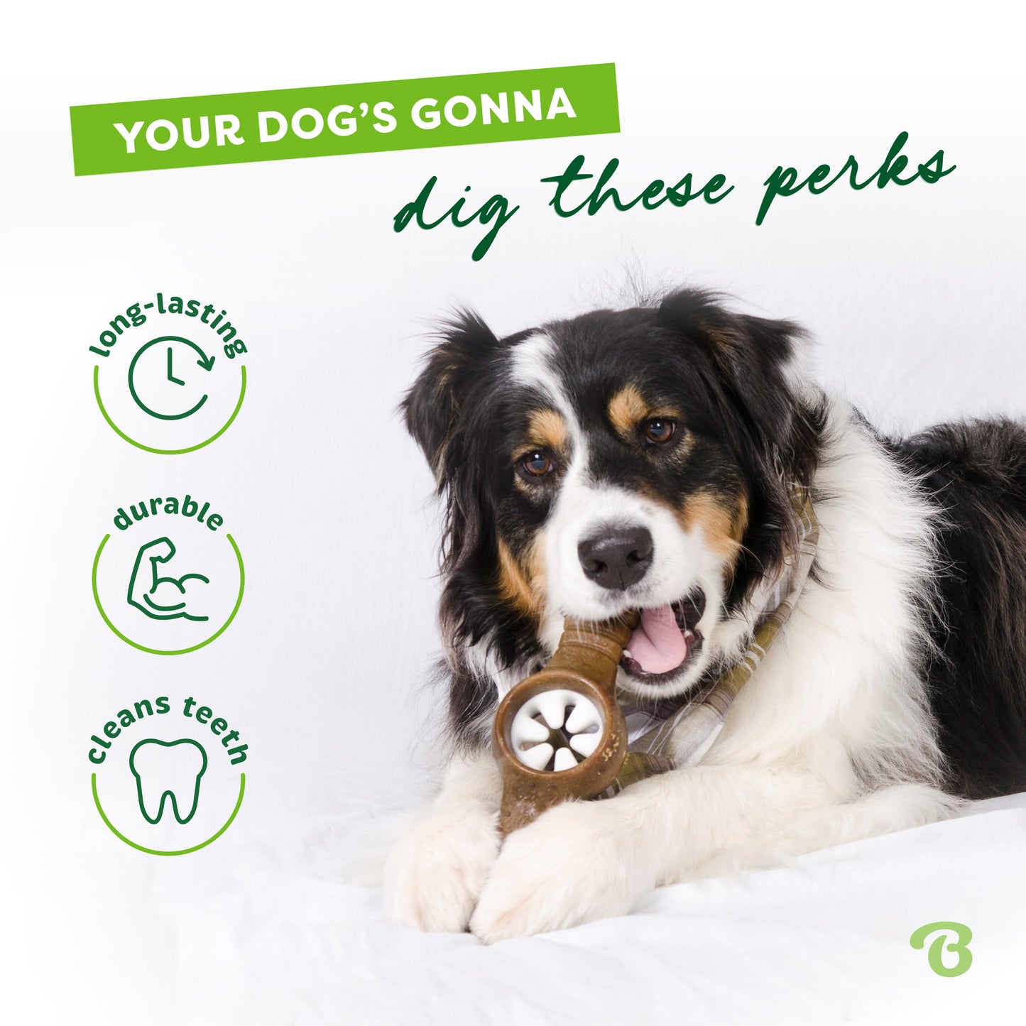 Pawplexer