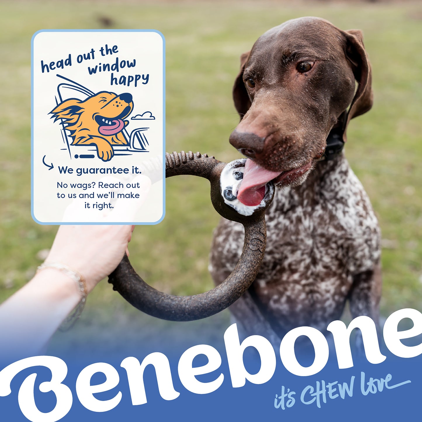 Blueberry Ring