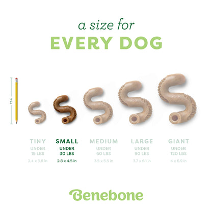 Tripe Bone
