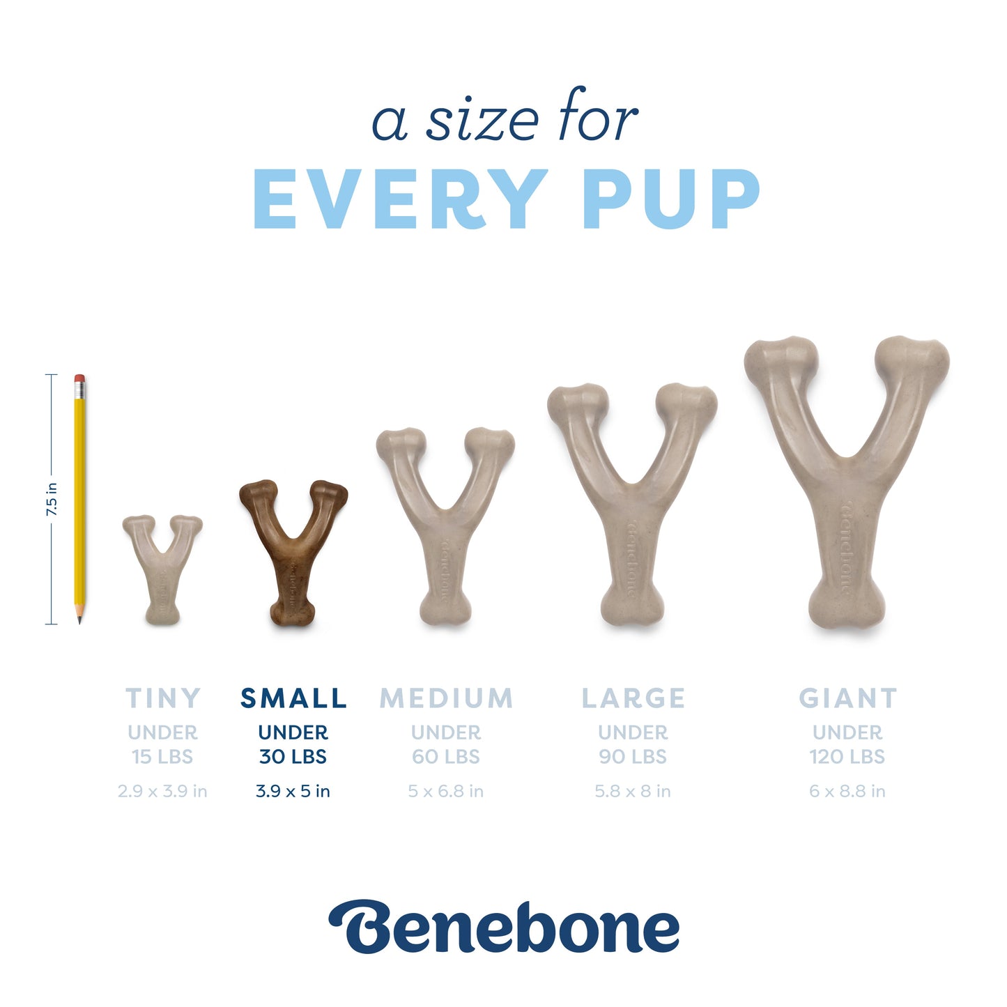 Puppy Wishbone
