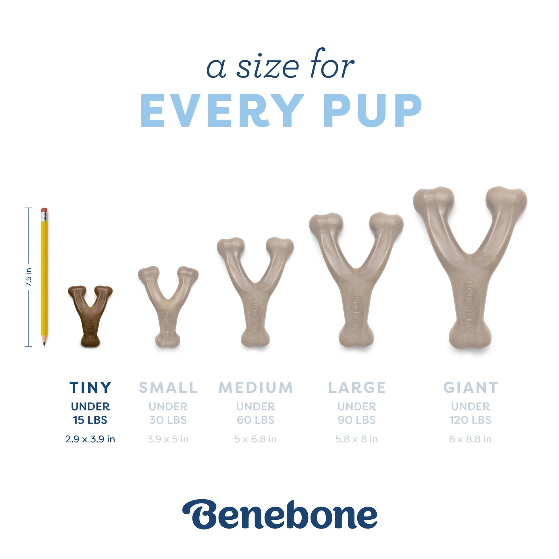 Puppy Wishbone