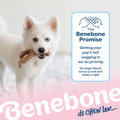 Puppy Wishbone