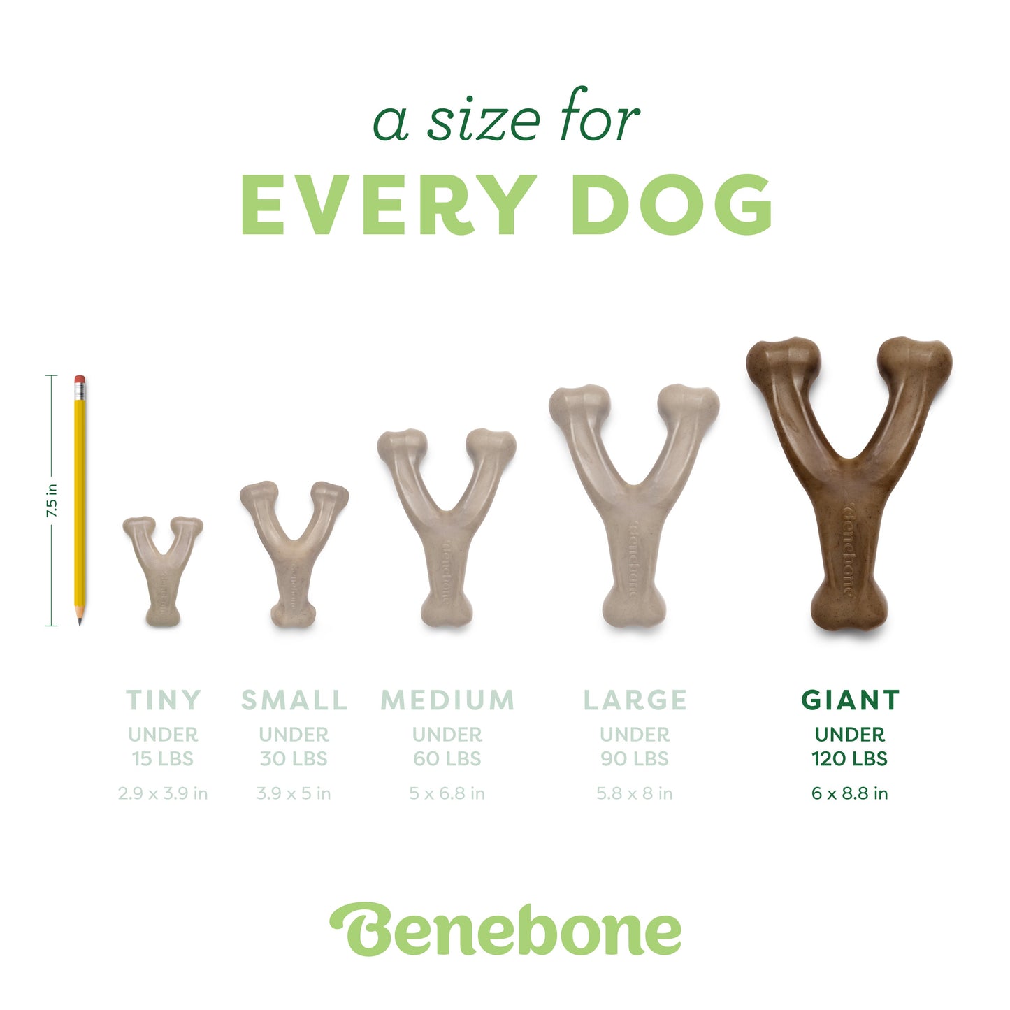 Wishbone