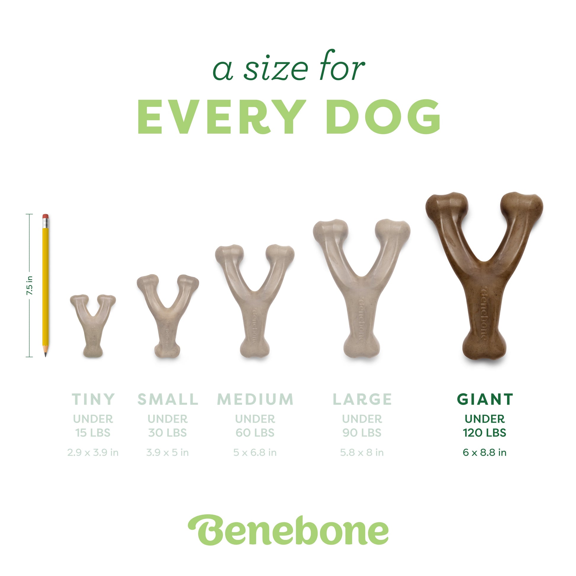 Wishbone