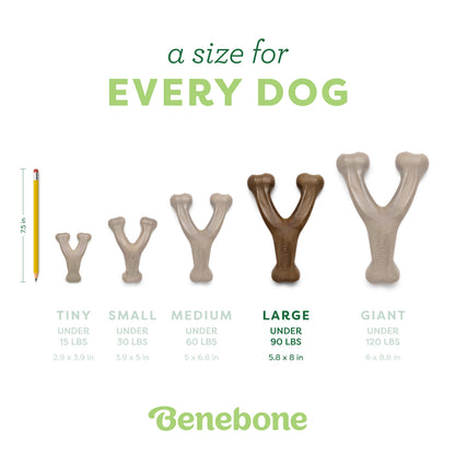 Wishbone
