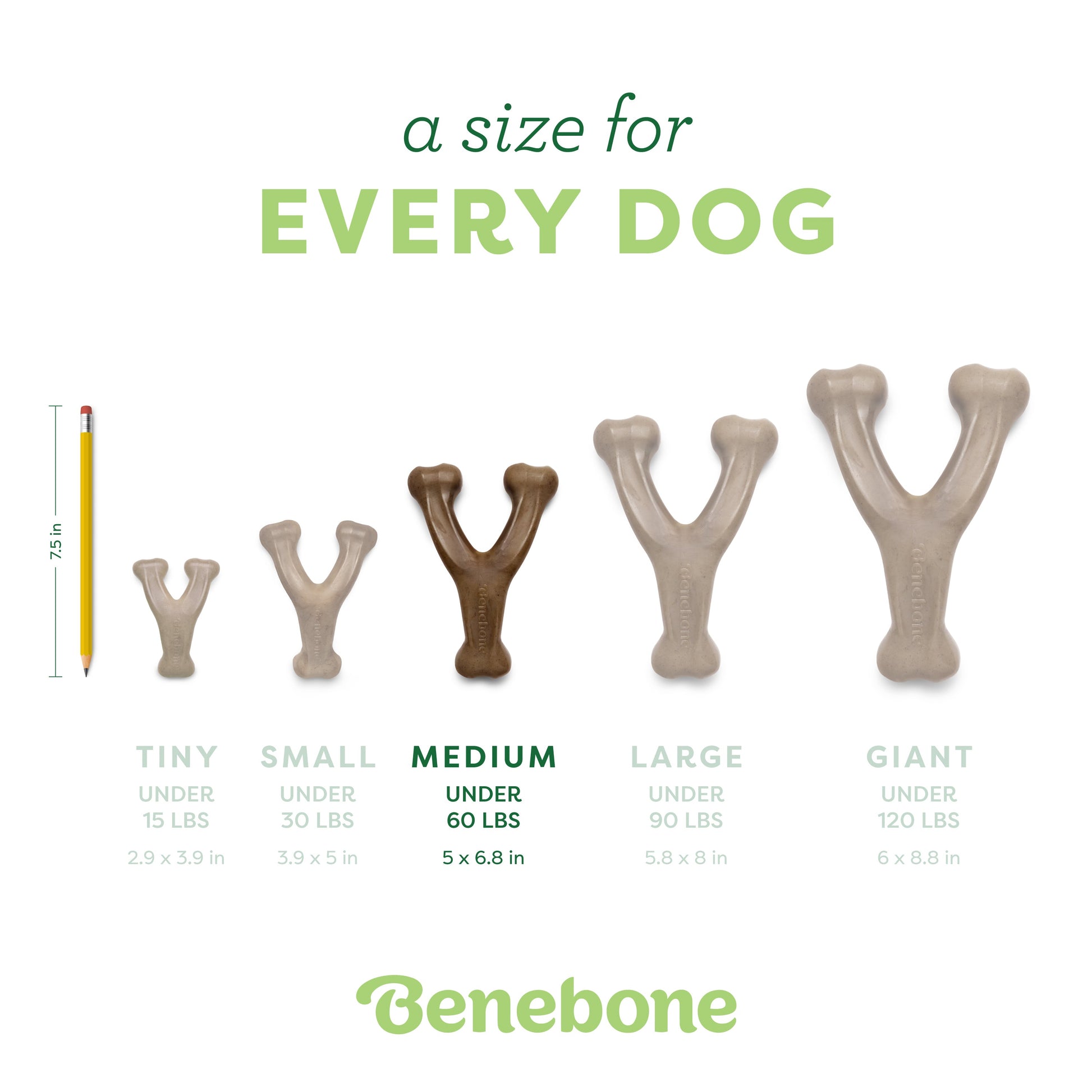 Wishbone