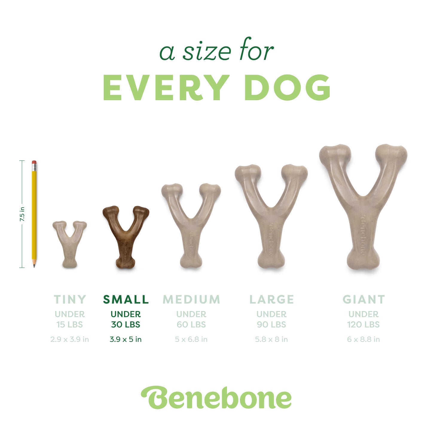 Wishbone