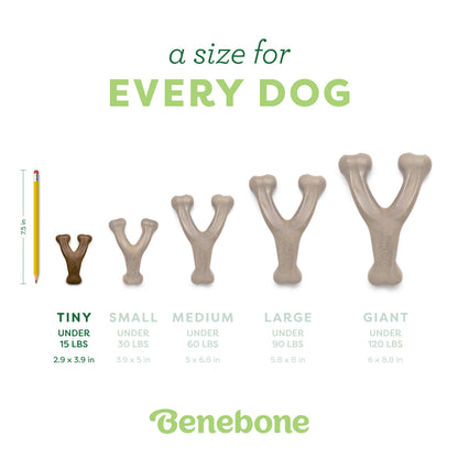 Wishbone