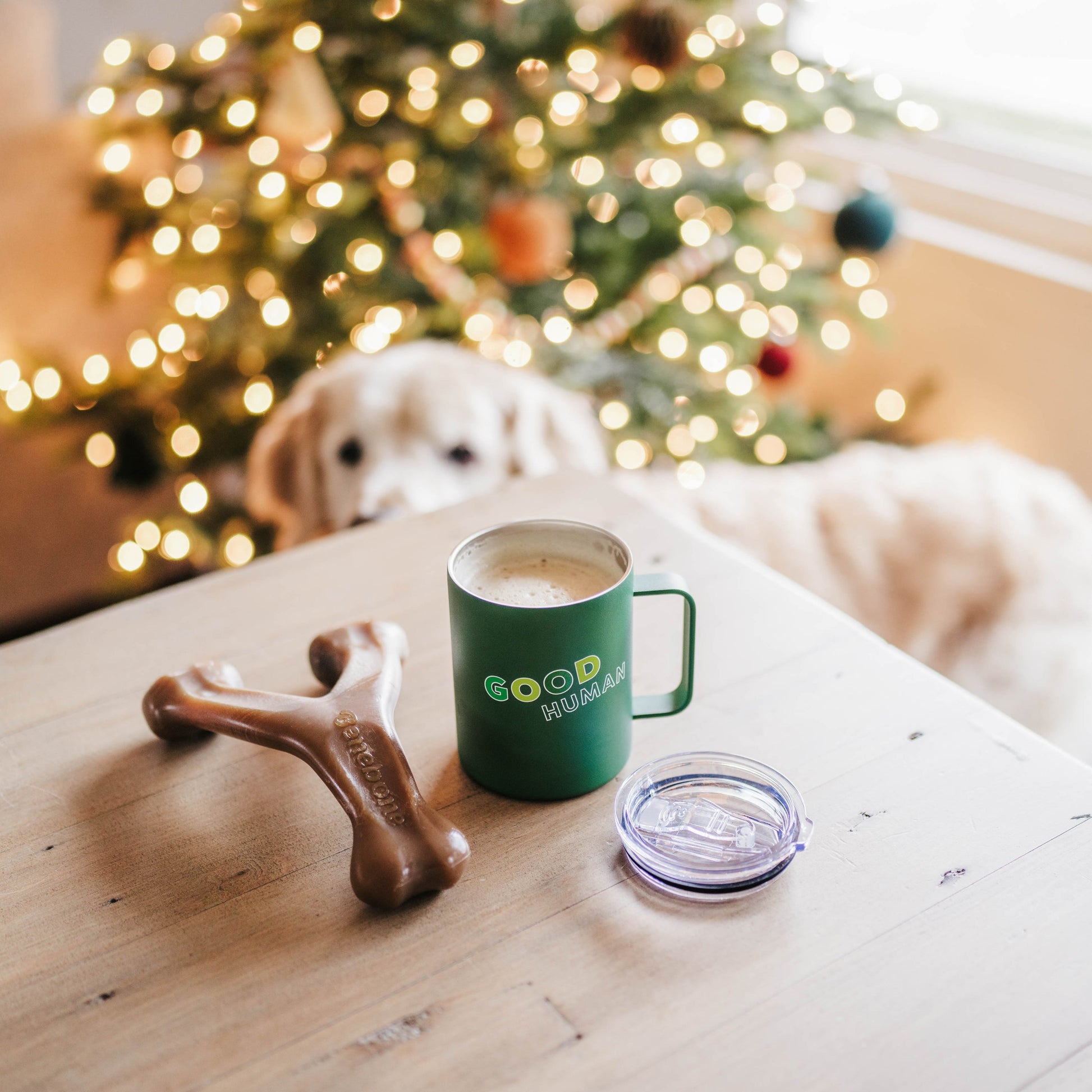 Good Human Insulated Mug