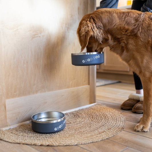 Good Dog Stainless Steel Bowl